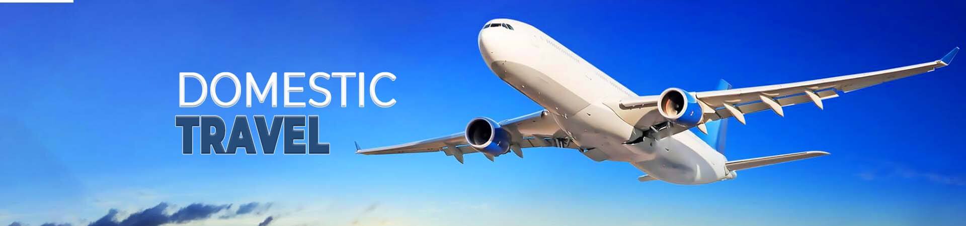 Domestic Flights